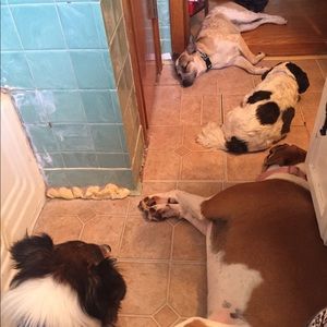 Meet your Posher, Angela